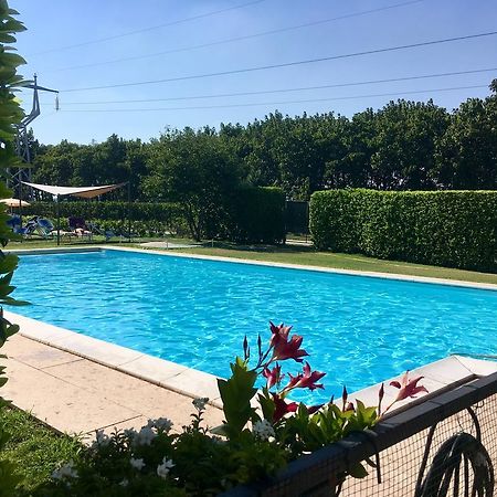 Agriturismo Corte Pellegrini San Martino Buon Albergo Eksteriør bilde