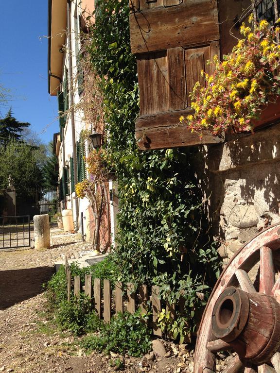 Agriturismo Corte Pellegrini San Martino Buon Albergo Eksteriør bilde