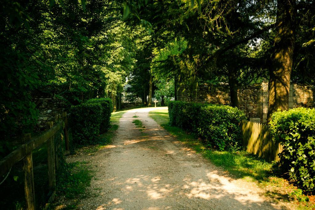 Agriturismo Corte Pellegrini San Martino Buon Albergo Eksteriør bilde